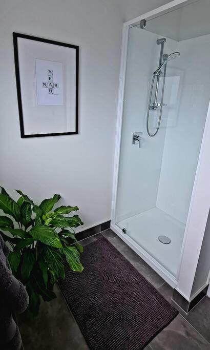 Apartment 4 - Haddin Court - Chic Ny Loft Style Blenheim Eksteriør bilde